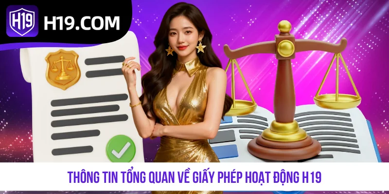 Thông tin tổng quan về giấy phép hoạt động H19